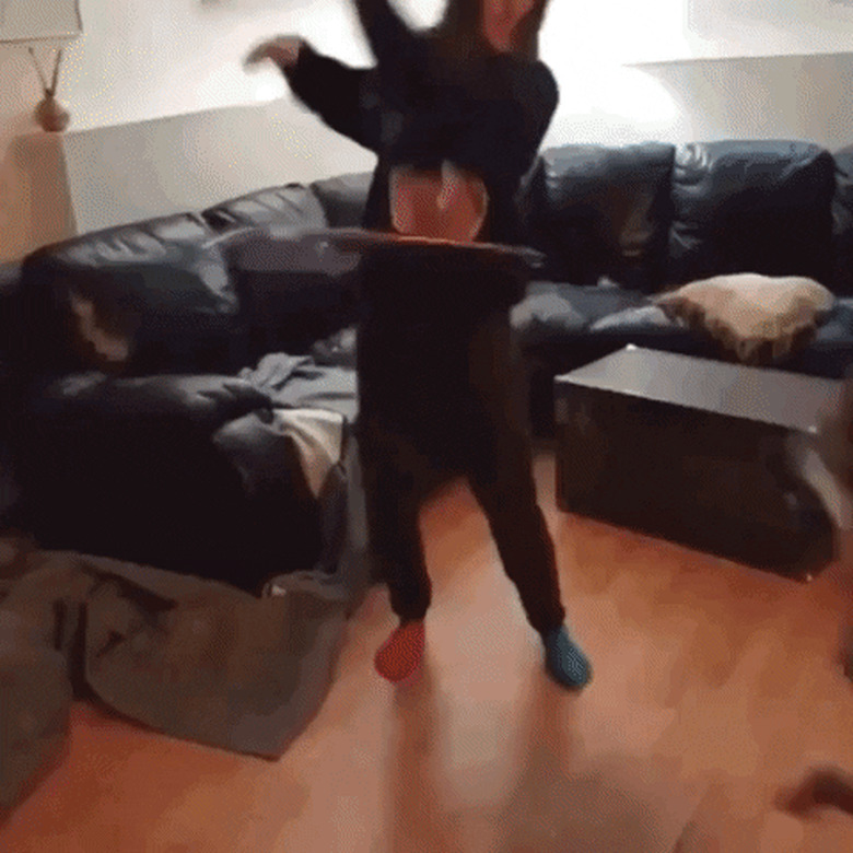 dog wants to take turn with hula hoop