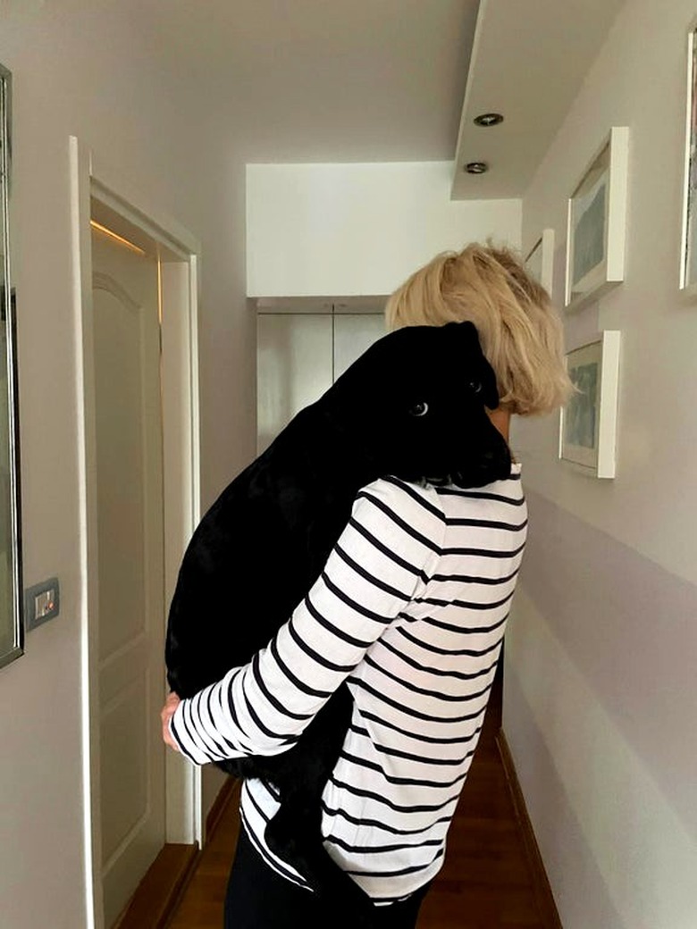 black dog being carried by his human still thinks he's a puppy