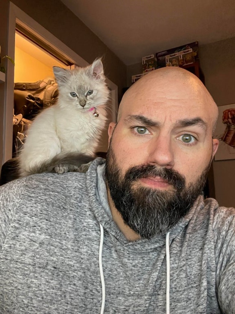 judgy cat sits on man's shoulder