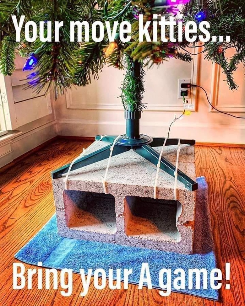 Cats vs Christmas trees