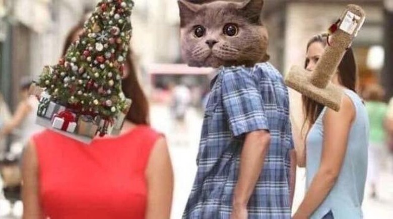 jealous girlfriend meme but with cats, cat towers and christmas trees