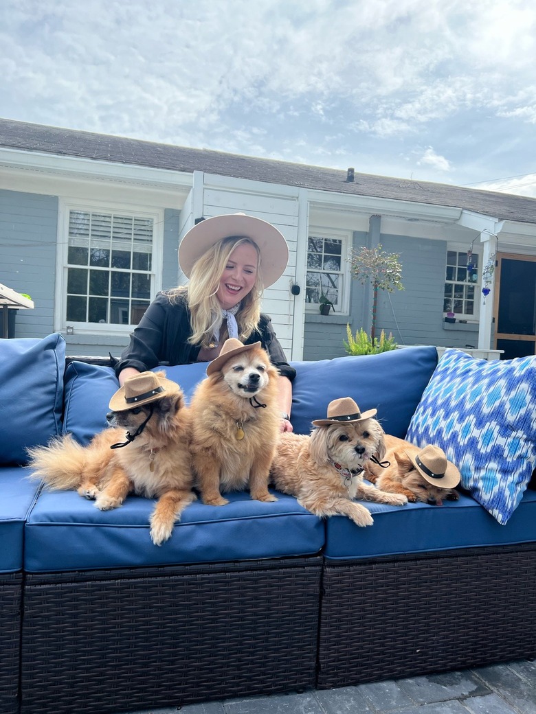 dogs in hats pose for photo