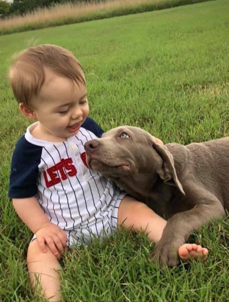 Puppy and baby smiling at each other in a grassy field.