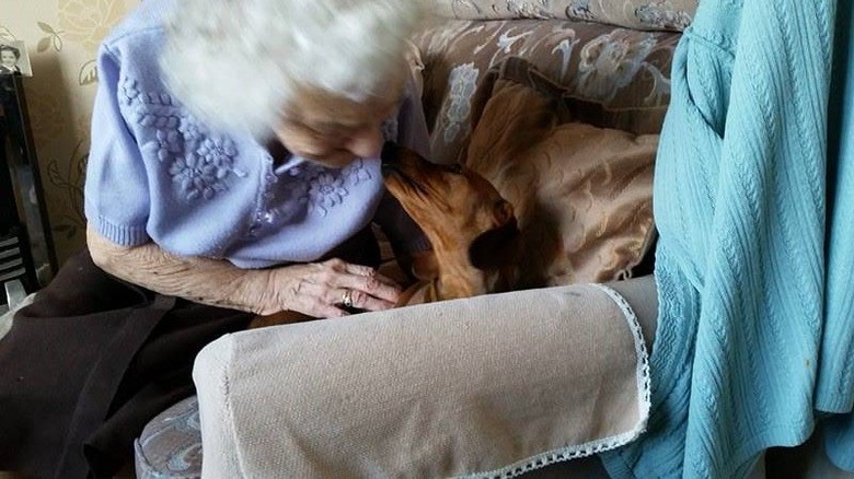 dog cheers up woman with Alzheimer