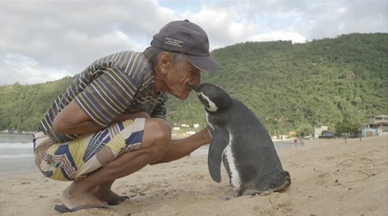 19 Of The Most Heartwarming Animal Moments Ever