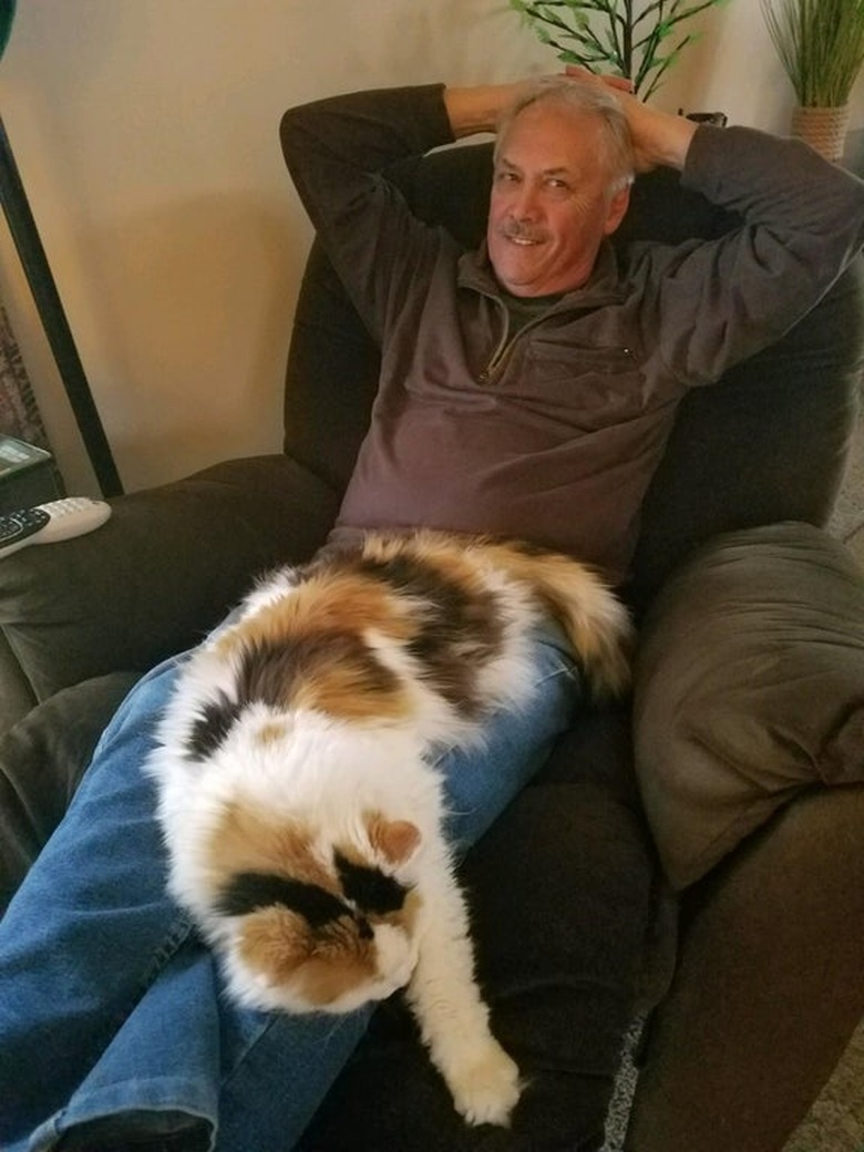 cat sleeping on man's leg