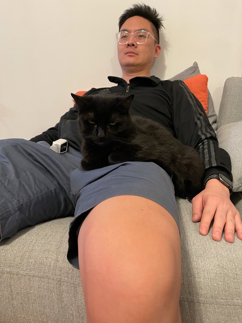 black cat sleeps on man