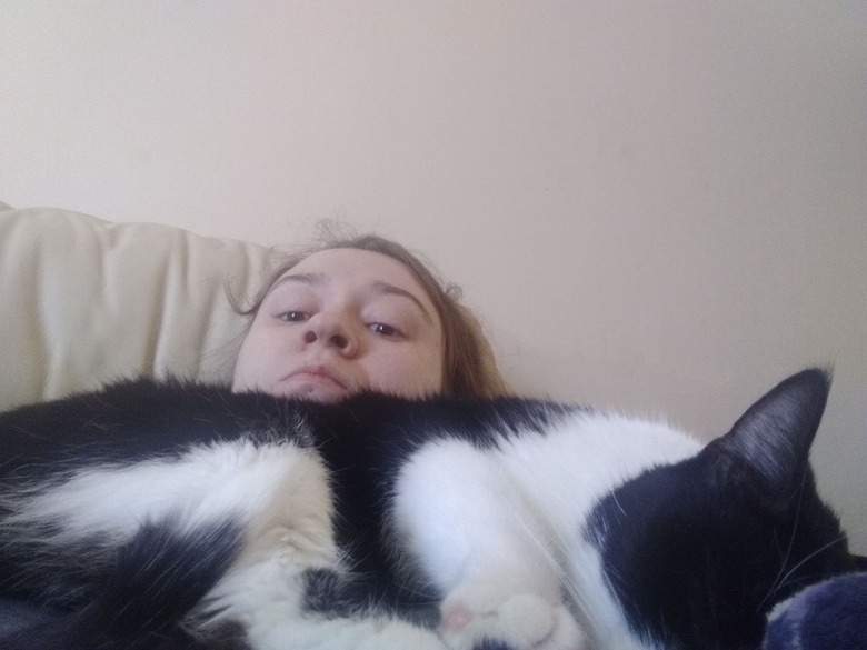 big cat sleeps on woman