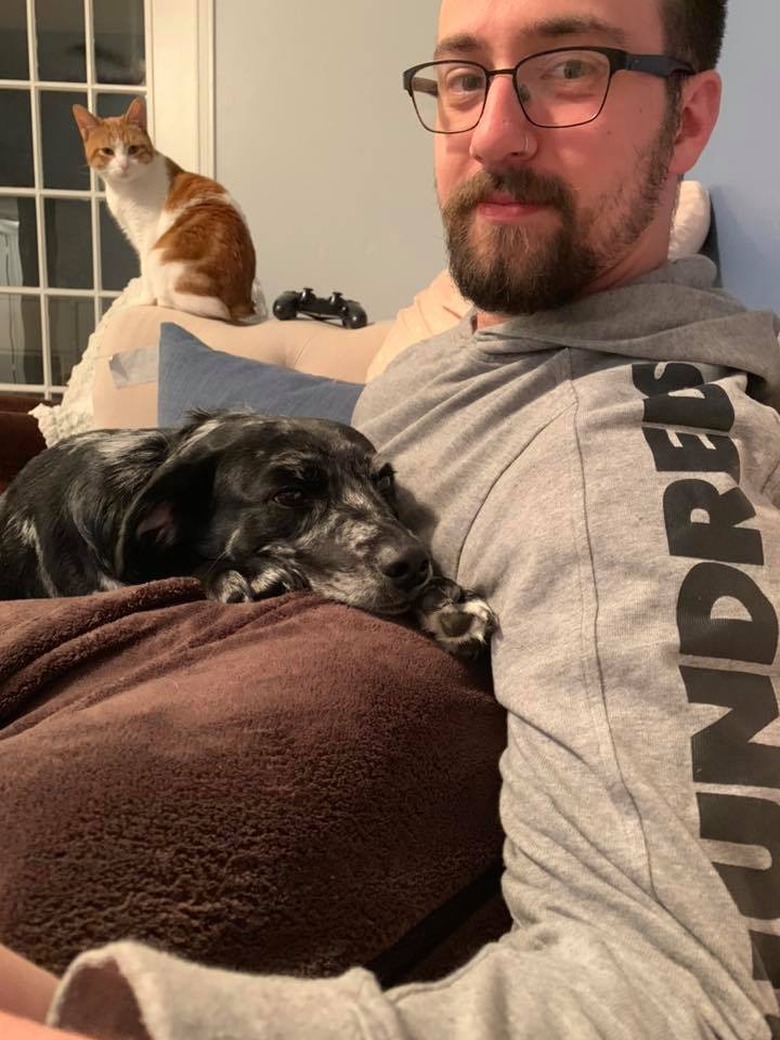 dog gets around no couch rule by laying on human dad