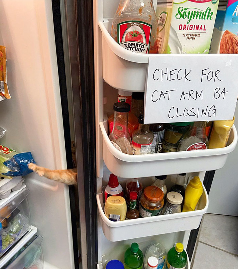 A sign on a refrigerator shelf says, 