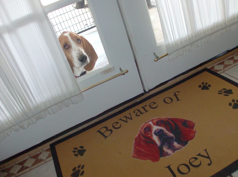 Welcome mat with picture of basset hound that says 