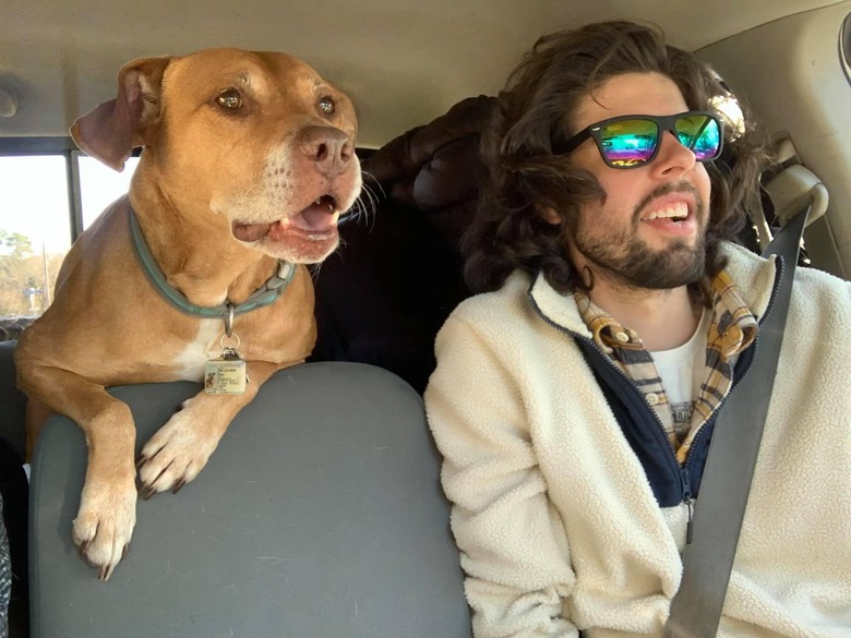 man and dog in car on road trip