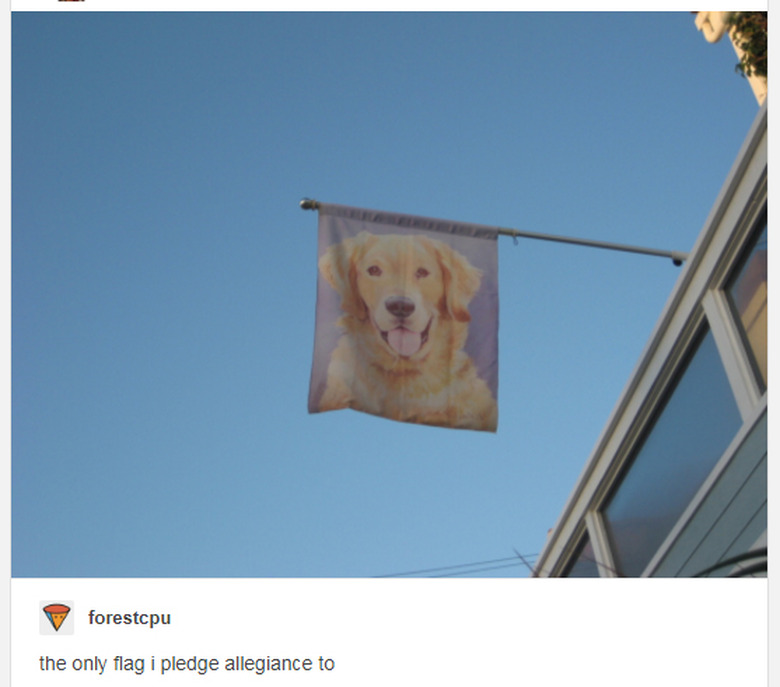 Flag printed with dog's face.