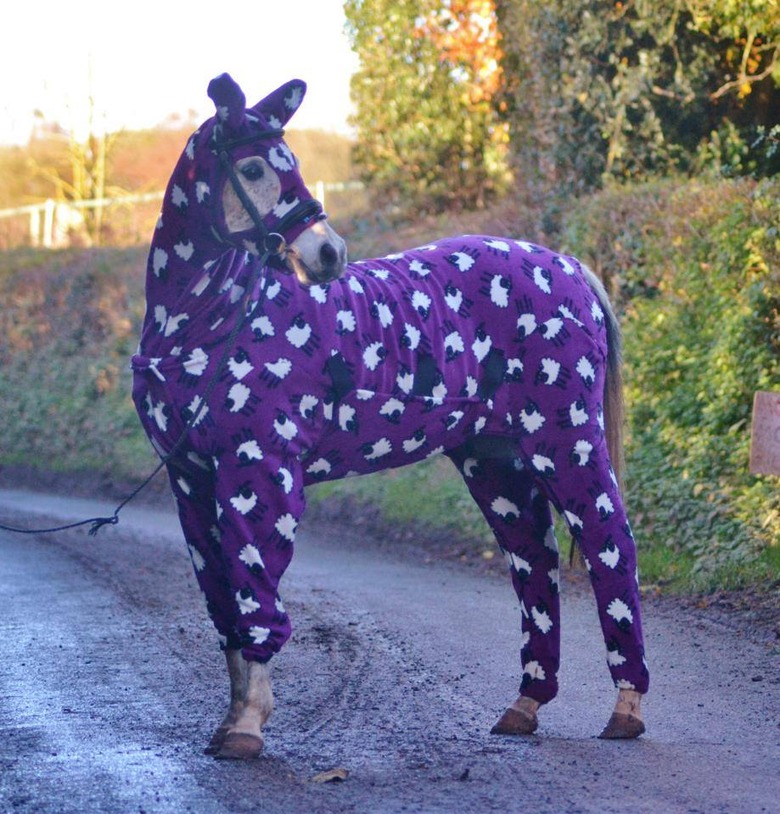 Horse wearing purple onesie covered in cartoon sheep.