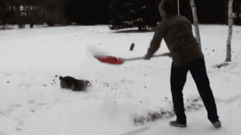 dog flips for snow