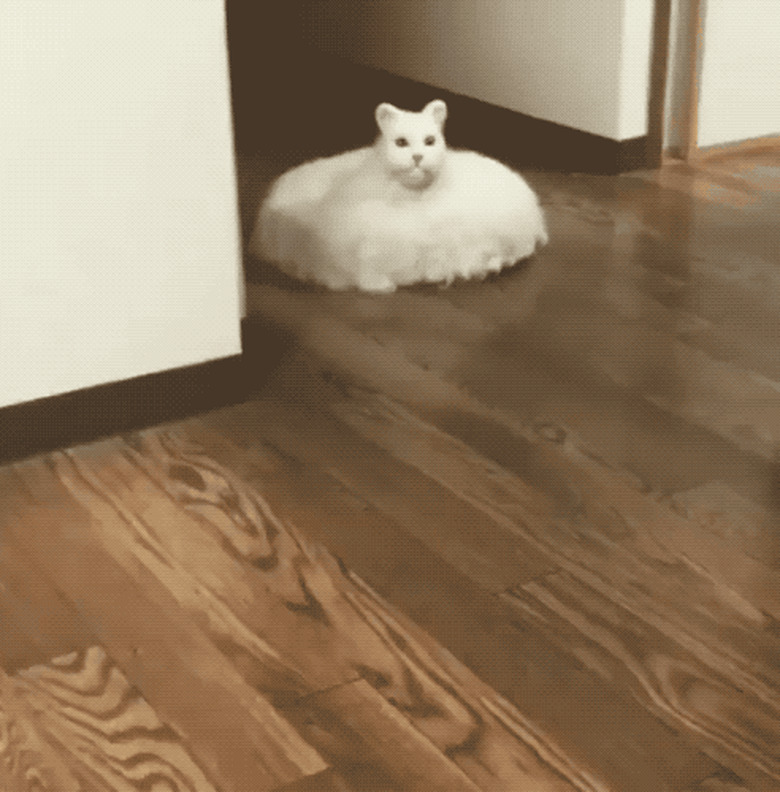 Roomba designed to look like a white cat