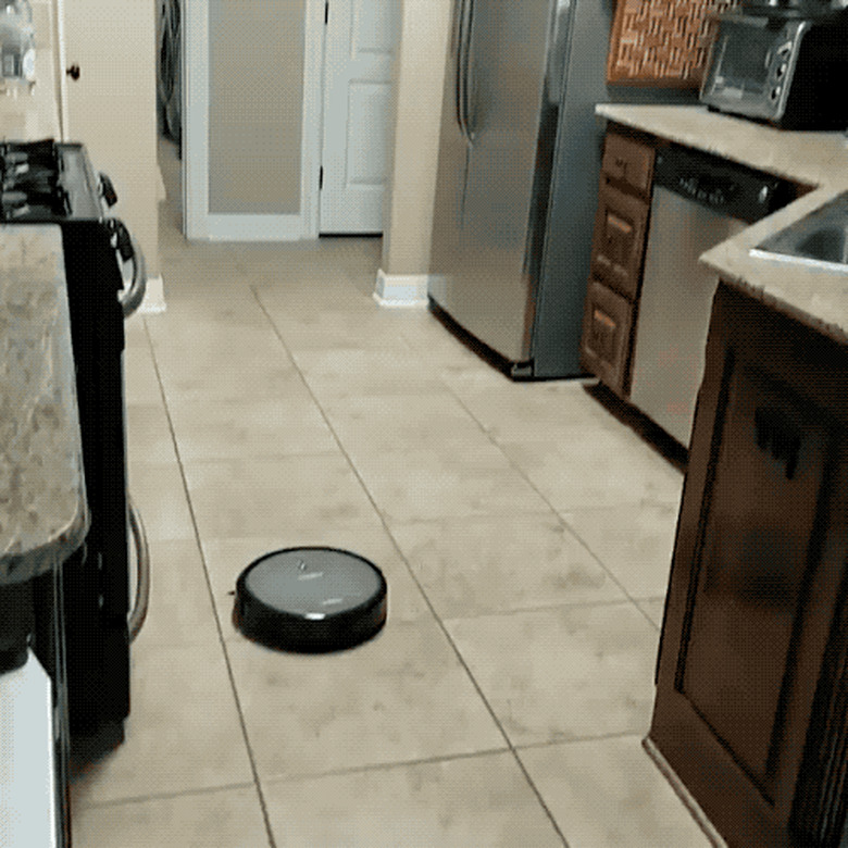 cat hides from roomba