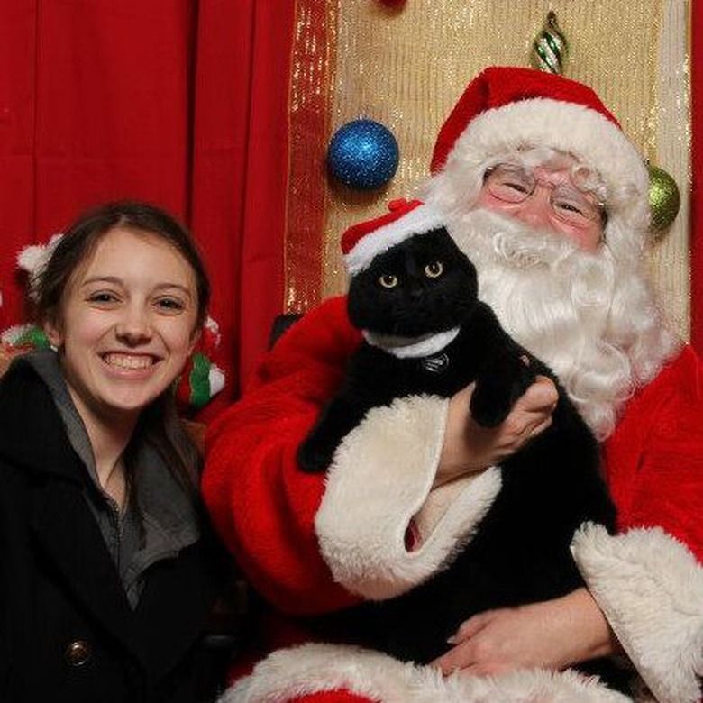 Cat sitting in Santa's lap