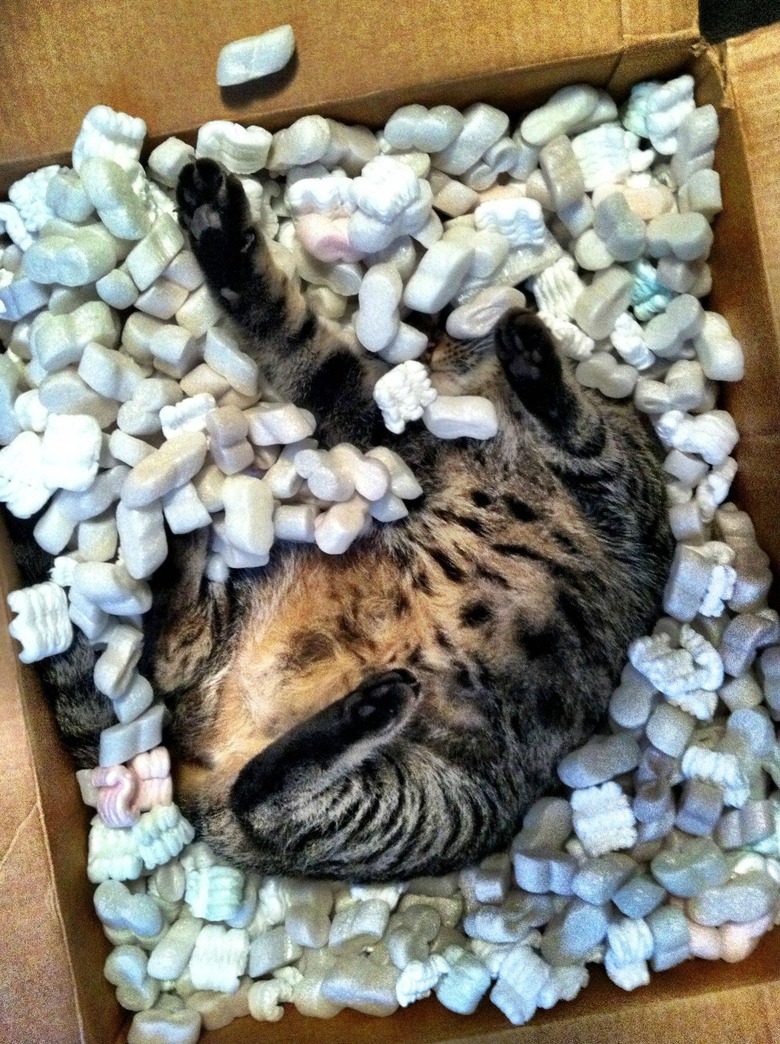 Cat playing in packing peanuts inside a cardboard box