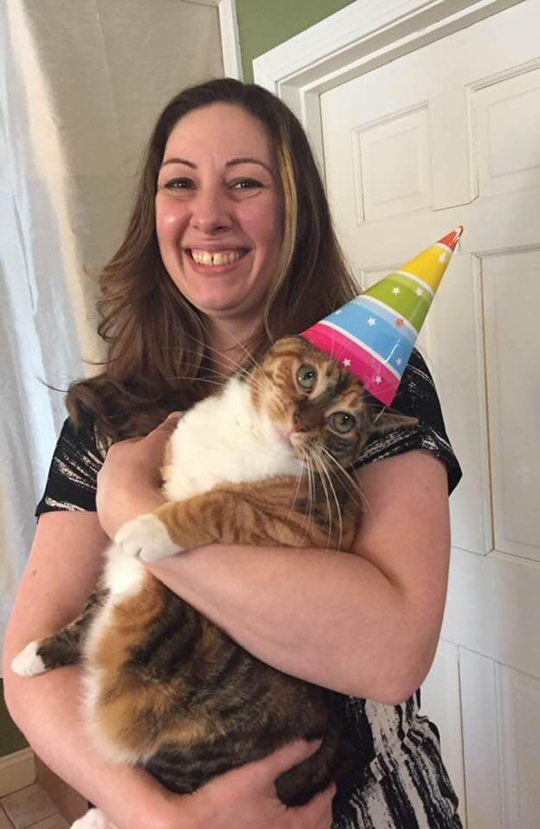 20 Dogs — And 1 Cat — Rocking Sweet Party Hats