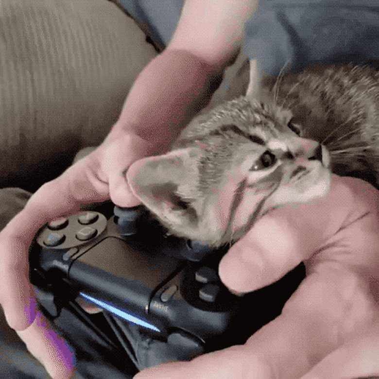 cat trying to sleep on video game controller