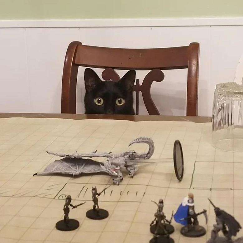 Cat sitting on chair looking at miniatures on table