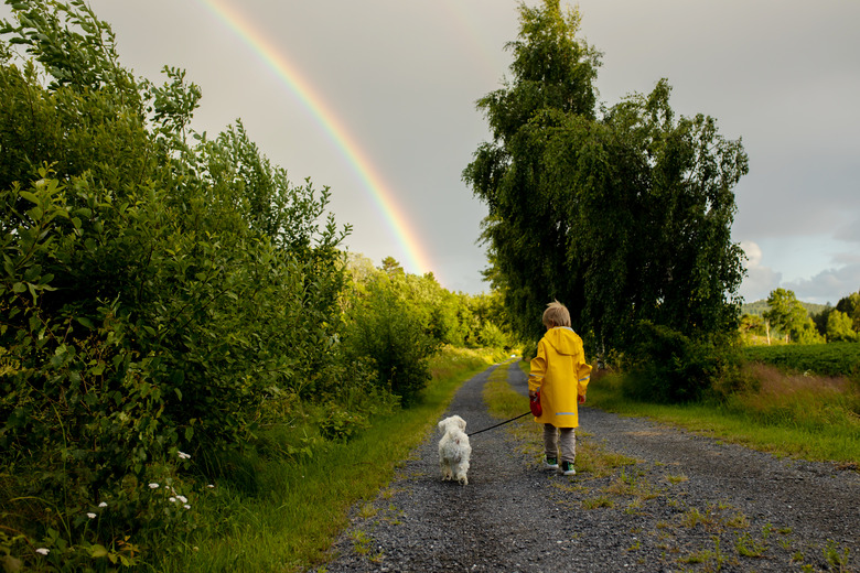 Little child with yellow raincoat and maltese dog, walking on a path, rainbow in front of him