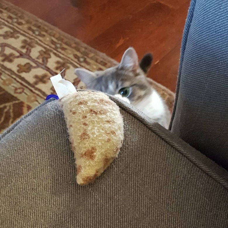 cat fetches toy mouse for human