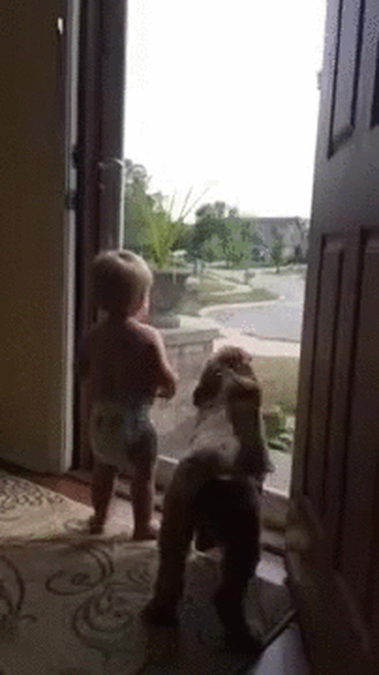 baby and dog are excited to see mom