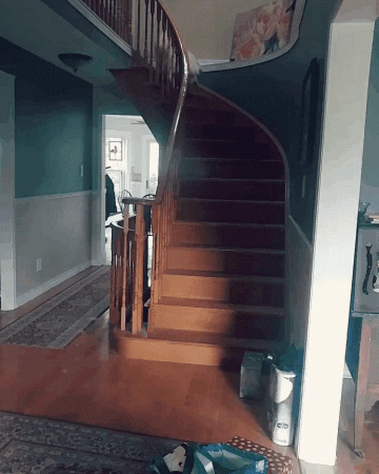 dog runs down stairs to greet human