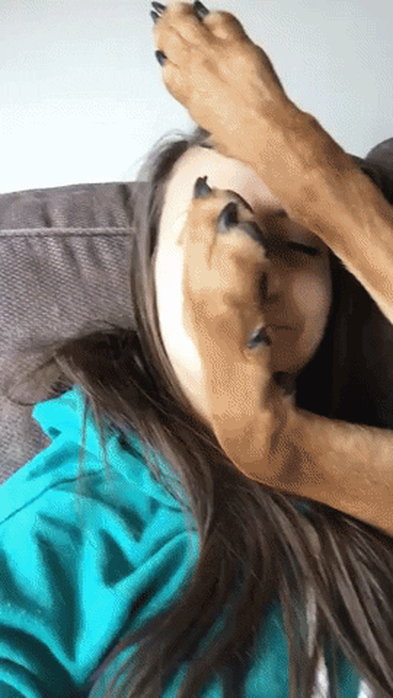 dog sleeping on woman's face