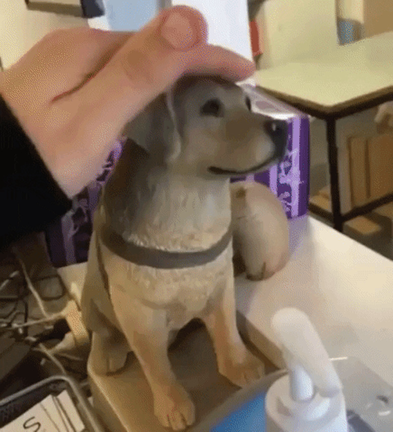 man pets fake dog to make real dog jealous