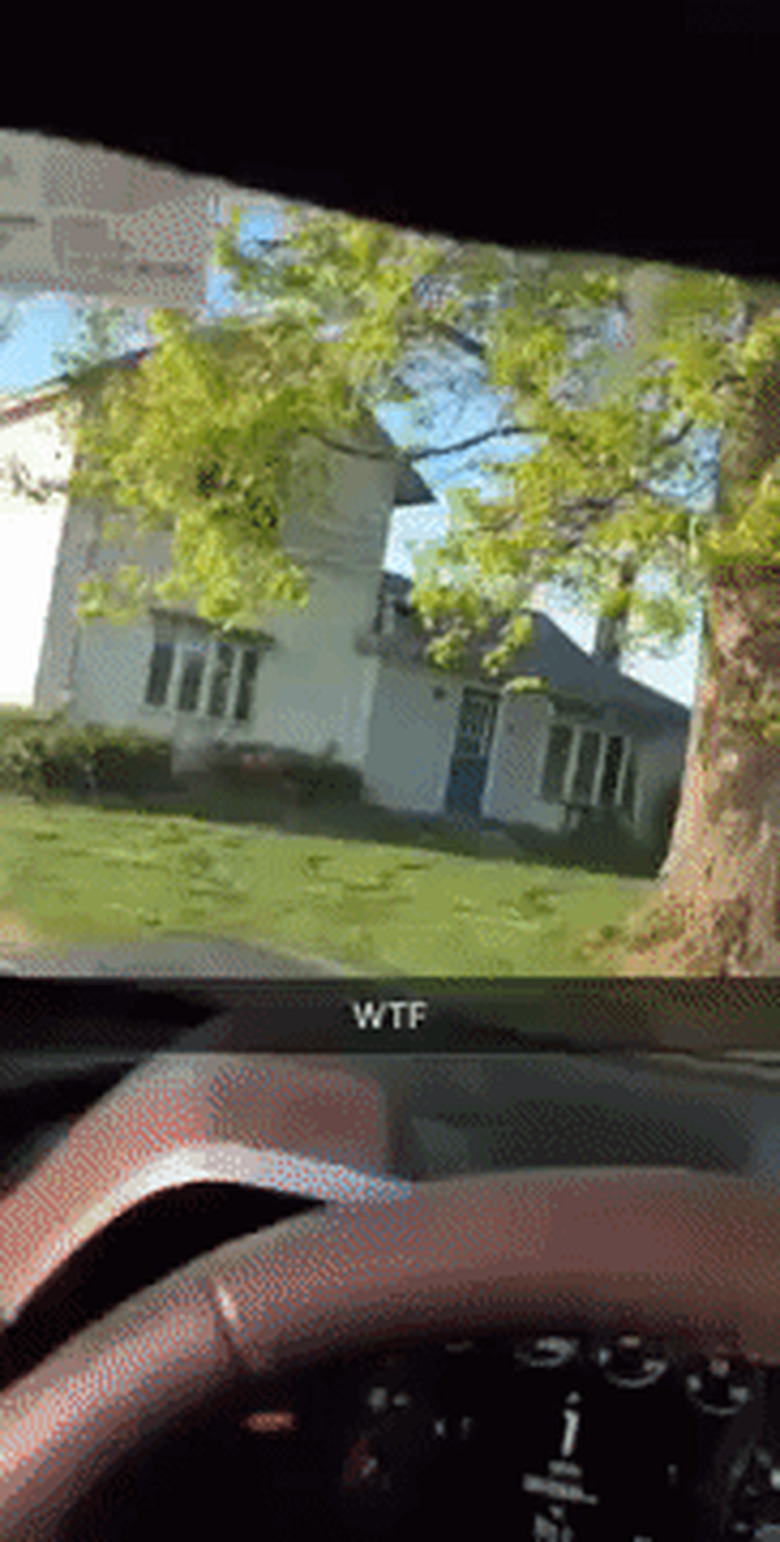 dog on roof of house