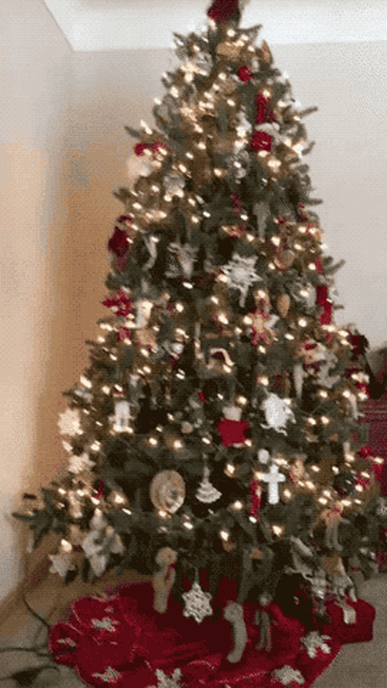 cat knocks topper off Christmas tree