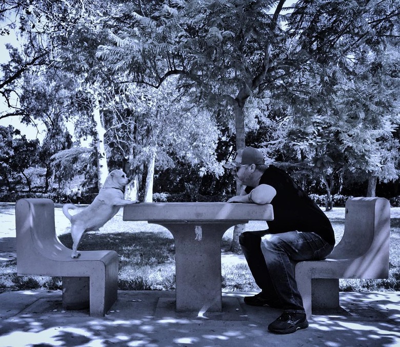 man and dog sitting on opposite sides of table