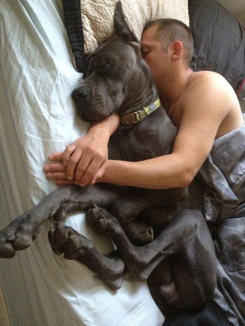 Man asleep with dog