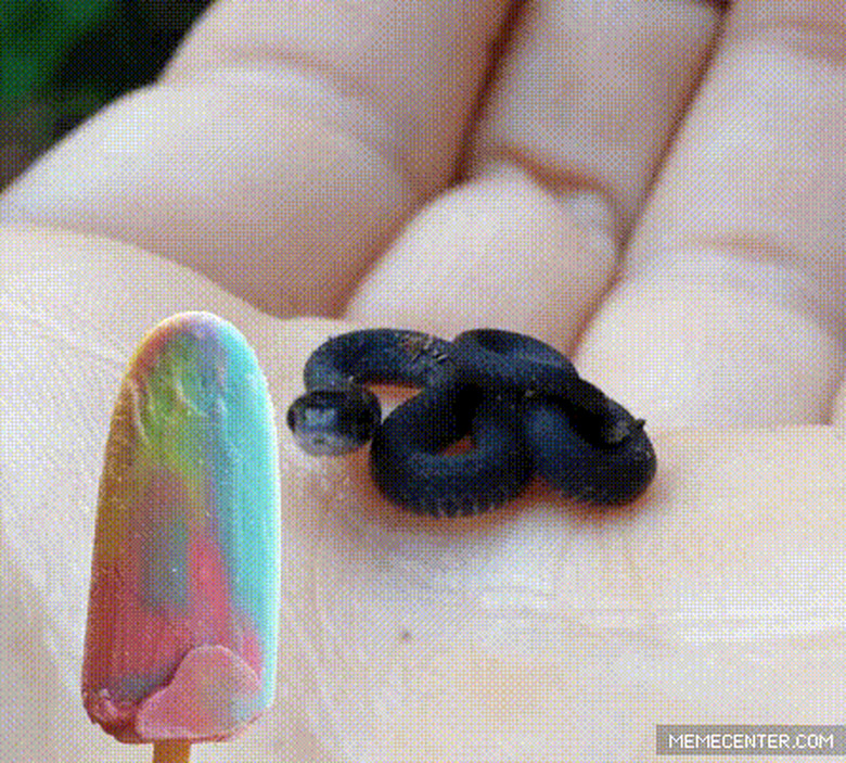 Tiny snake licks photoshopped popsicle.