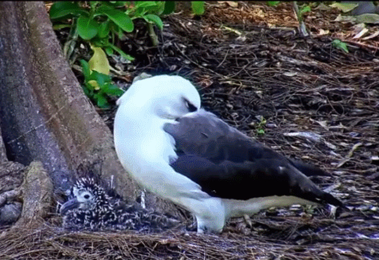 23 Photos Of Tired Animal Moms To Share With Your Mother