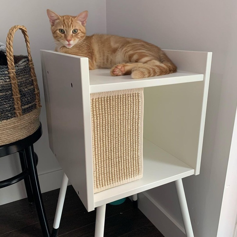 orange cat on cat condo