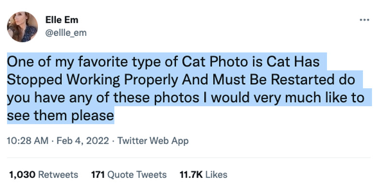 Twitter user @ellle_em imagines cats as computer systems that need to be restarted