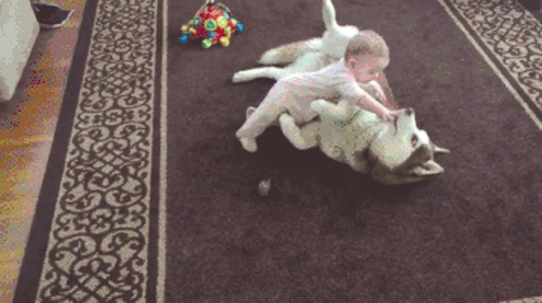 24 Lovable Dogs Who Are Amazing Babysitters