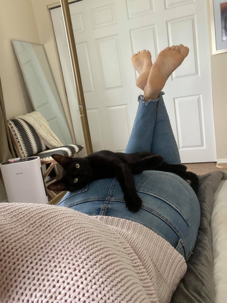 cat sleeps on woman's butt