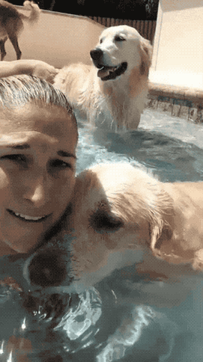 dog in pool mimics woman