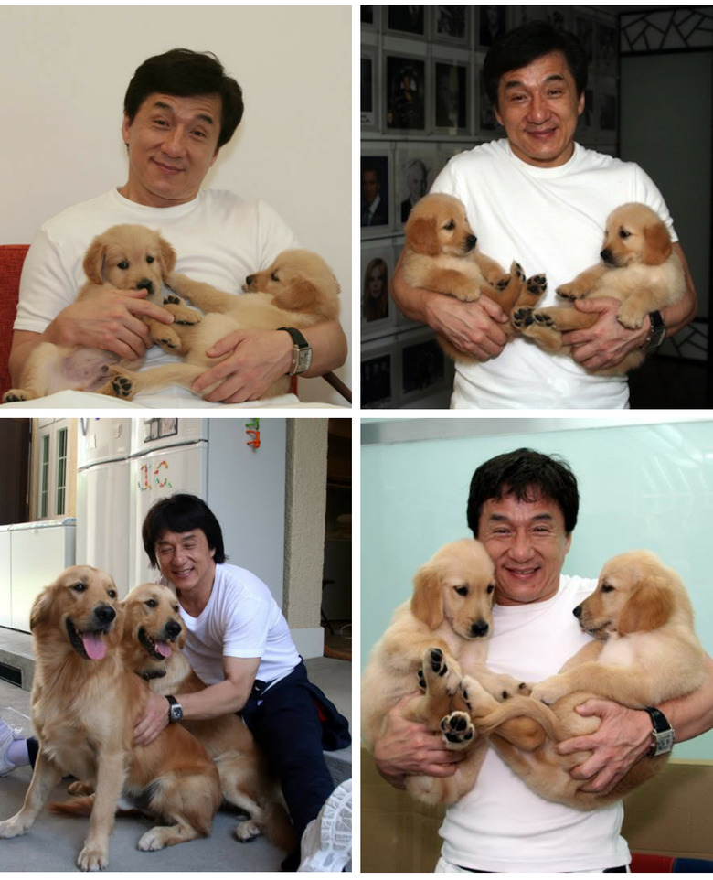 Photo set of Jackie Chan holding golden retriever puppies