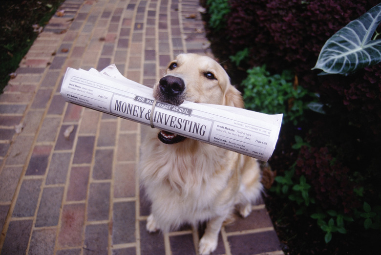 Golden retriever w/ newspaper in its mouth