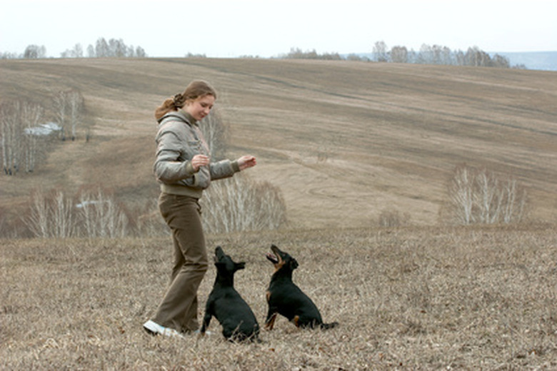 Woman wearing green pants with two black dogs in a farmers field