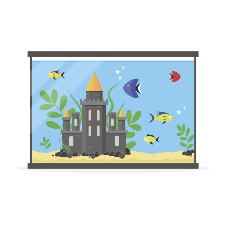 Glass Aquarium for Interior Home. Vector