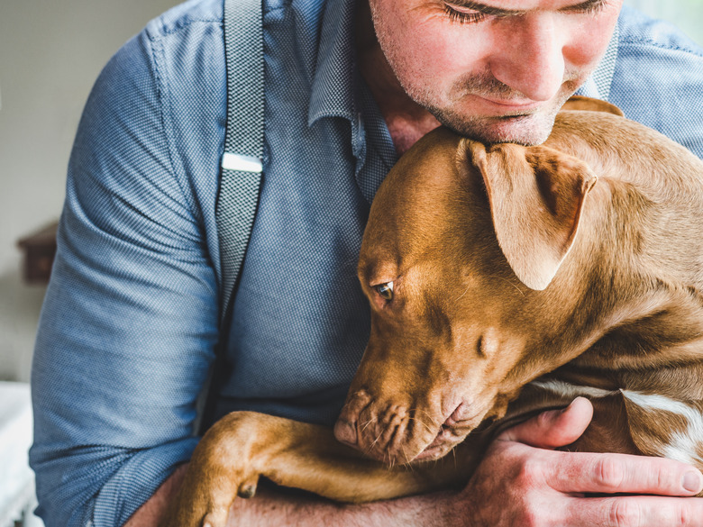 Handsome man and a charming puppy. =