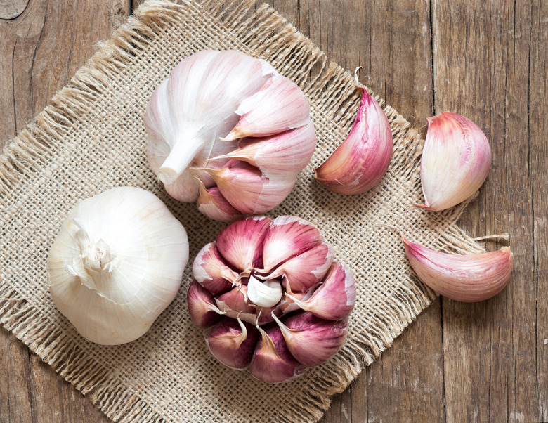 Fresh garlic on wooden background