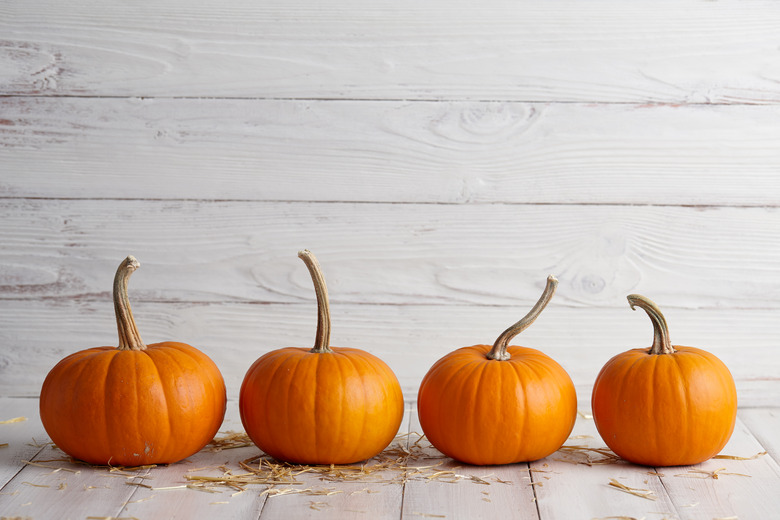 Orange halloween pumpkins on white planks